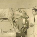 1942, Crocetti e il suo Vitellino