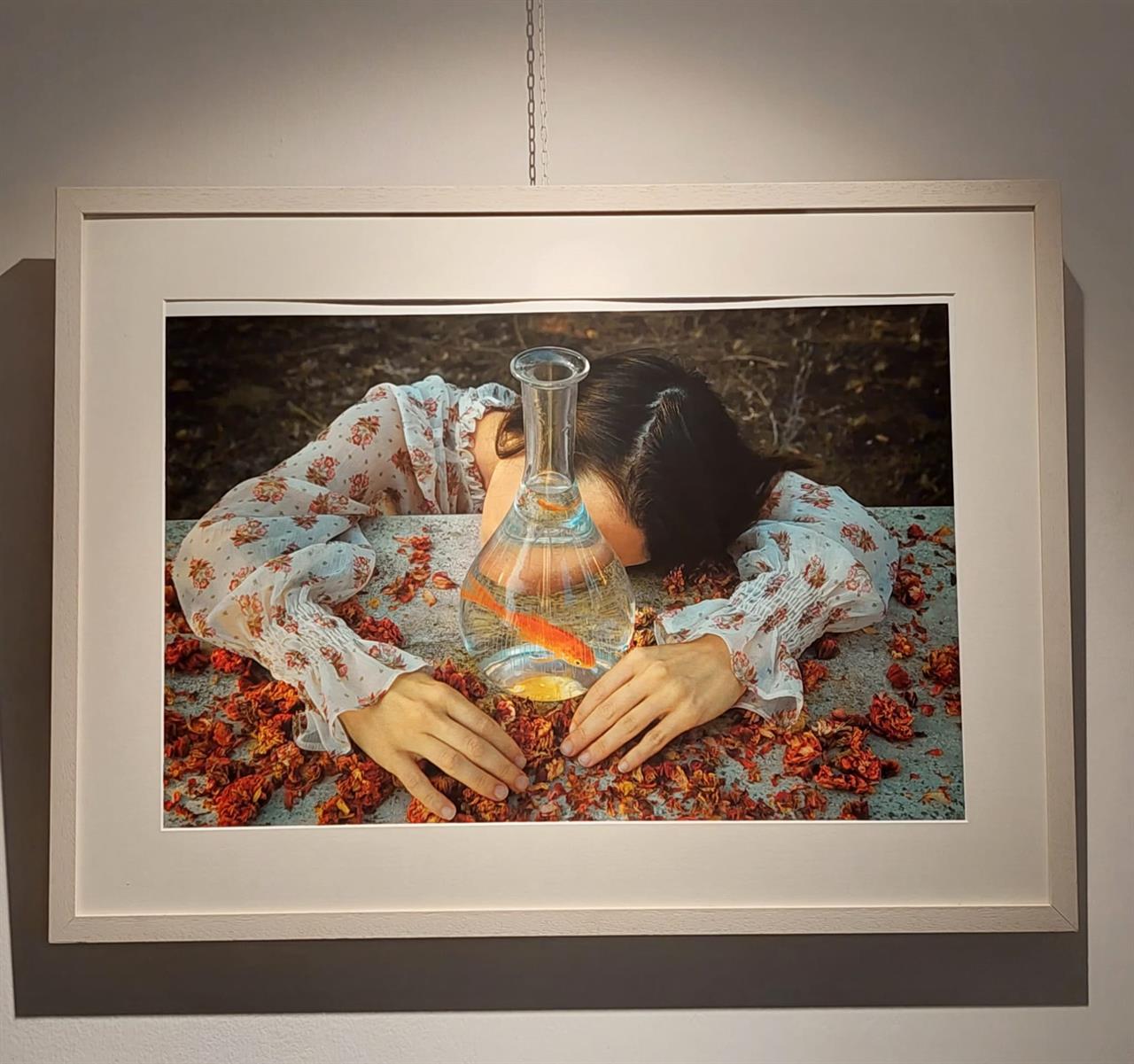 Anna Guadagnini_LIKE A FISH IN A BOTTLE