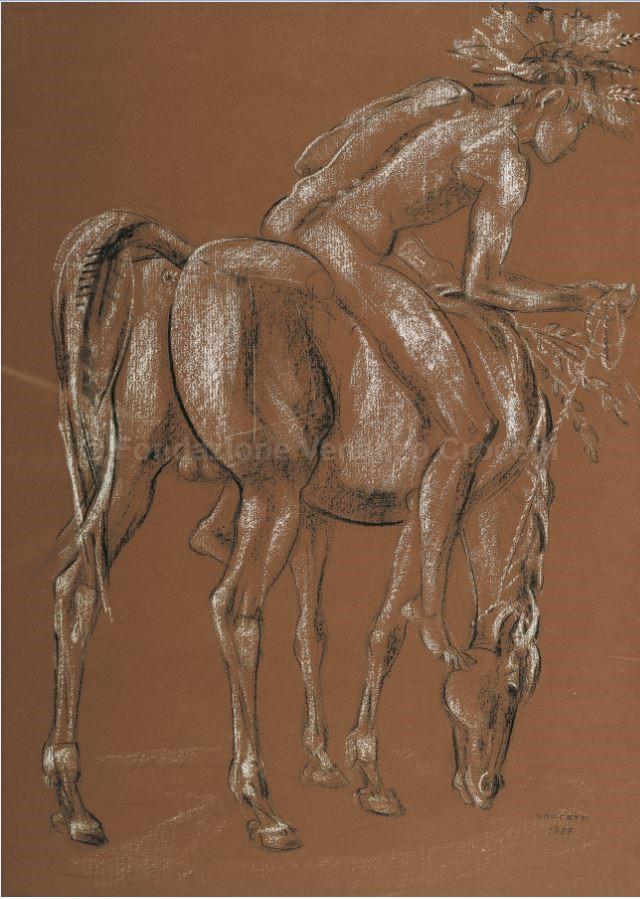 Giovane cavaliere della pace. Studio nr. 8
